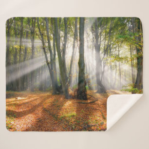 Couverture Sherpa Poutres de soleil dans une forêt de hêtres brumeux