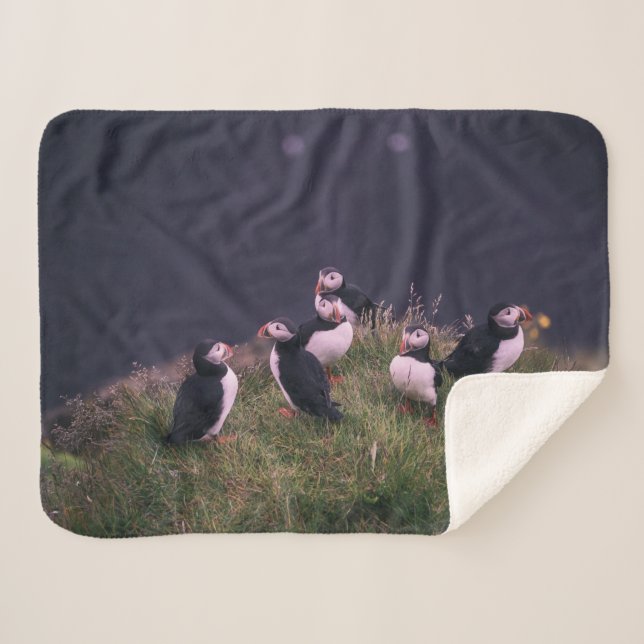 Couverture Sherpa Puffins de l'Atlantique (Devant (Horizontal))