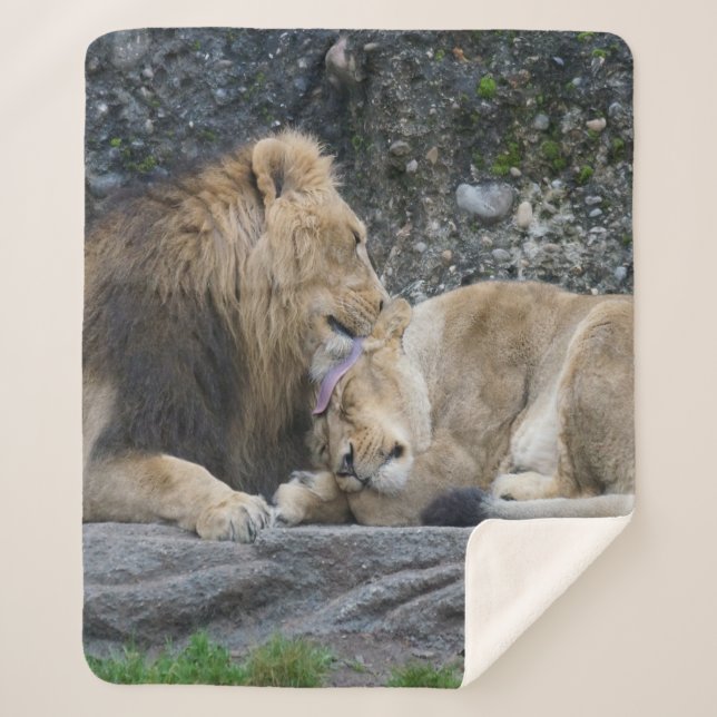 Couverture Sherpa Puissant amour Lion (Devant)