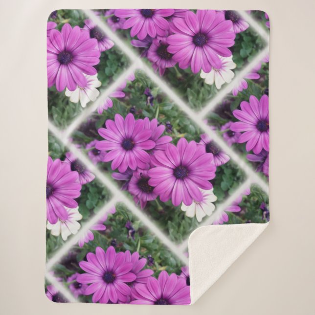 Couverture Sherpa Purple daisies (Devant)