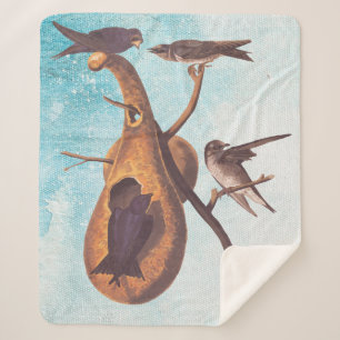 Couverture Sherpa Purple Martin Audubon Bird Famille et Gourd Accuei
