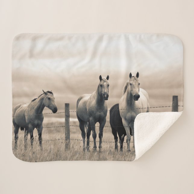 Couverture Sherpa Quart De Chevaux Sur Les Prairies Canadiennes (Devant (Horizontal))