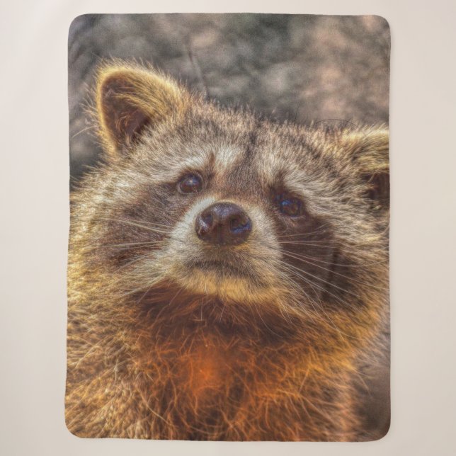 Couverture Sherpa Raccoon peint (Devant)