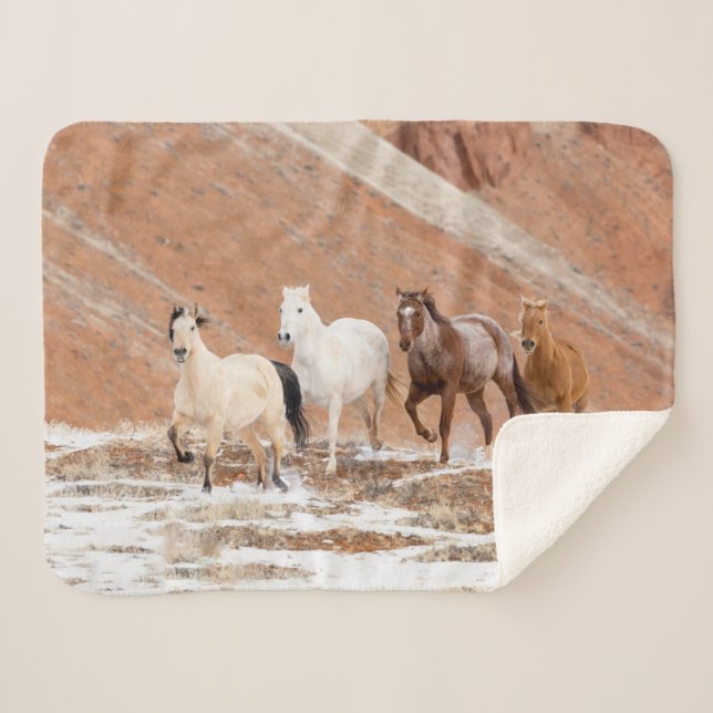 Couverture Sherpa  Ranch Hideout avec petit troupeau de chevaux dans (Devant (Horizontal))