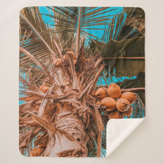 COUVERTURE SHERPA RECHERCHE DU COCOTIER (Devant)