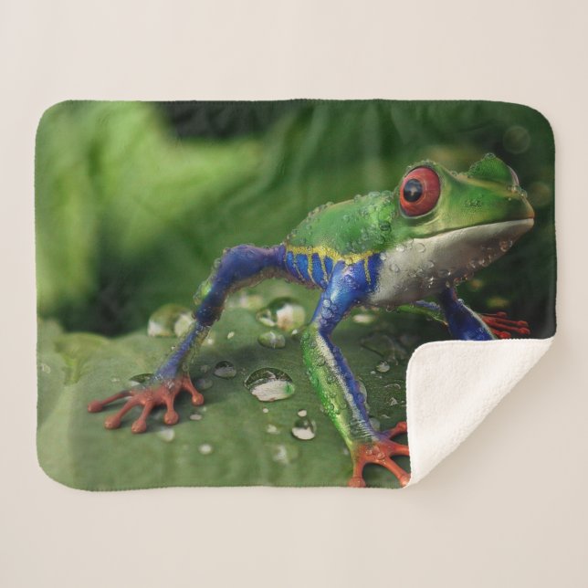 COUVERTURE SHERPA ROG COLORÉ (Devant (Horizontal))