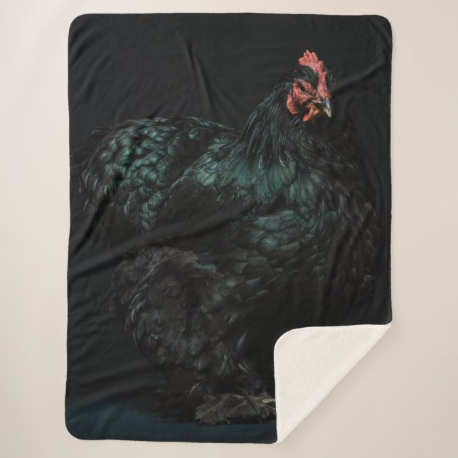 COUVERTURE SHERPA ROOSTER NOIR (Devant)