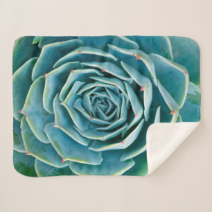 Couverture Sherpa Rosette d'Echeveria, Jardin Secret de Marrakech