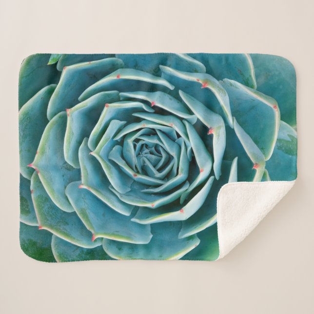 Couverture Sherpa Rosette d'Echeveria, Jardin Secret de Marrakech (Devant (Horizontal))