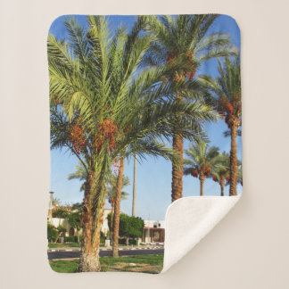 Couverture Sherpa Ruelle de palmiers dattiers dans la ville de Sharm