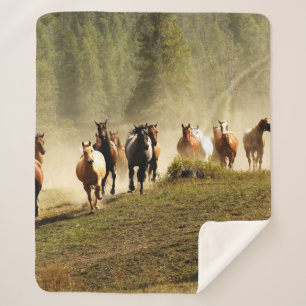 Couverture Sherpa Running horses on Montana ranch