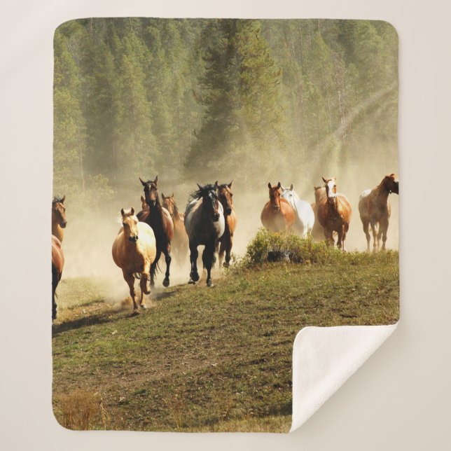Couverture Sherpa Running horses on Montana ranch (Devant)