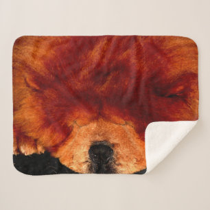 Couverture Sherpa Sbcn de Chow Chow