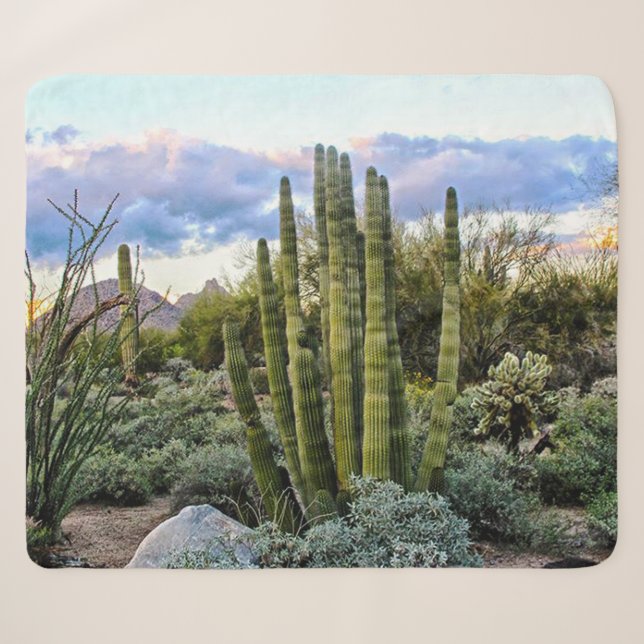 Couverture Sherpa Scottsdale Succulent Sunset (Devant (Horizontal))