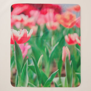 Couverture Sherpa Sélectionner le focus, nature Extraordinaire de Be