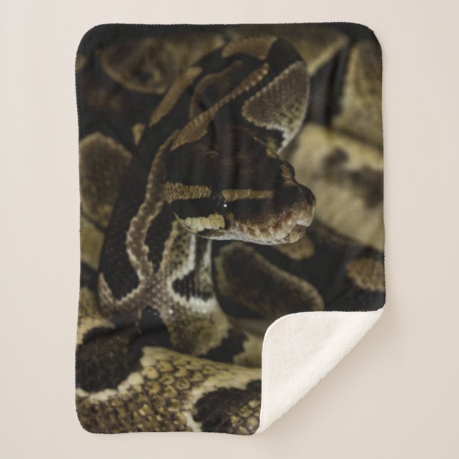 Couverture Sherpa Serpent noir Cool (Devant)