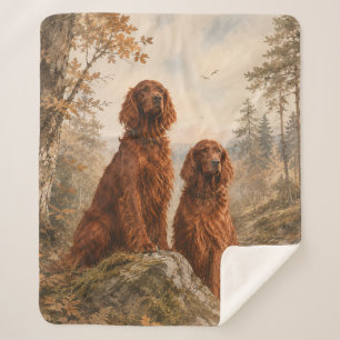 Couverture Sherpa Setter irlandais