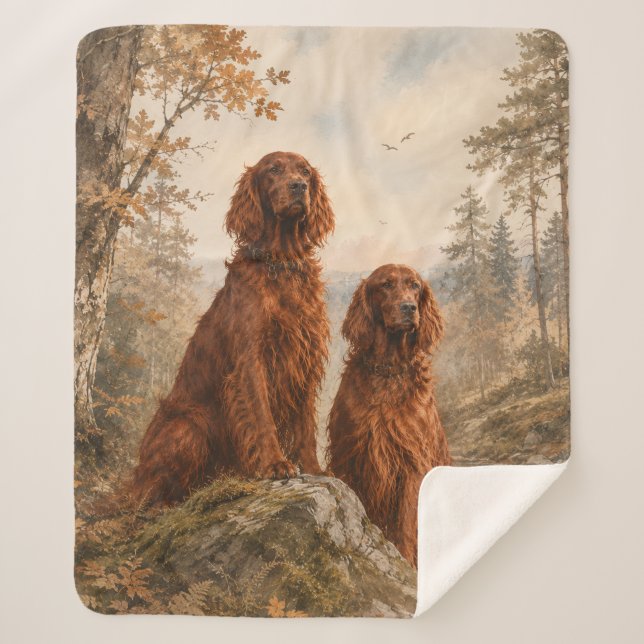 Couverture Sherpa Setter irlandais   (Devant)