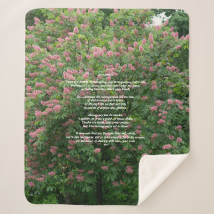 Couverture Sherpa Sherpa Blanket