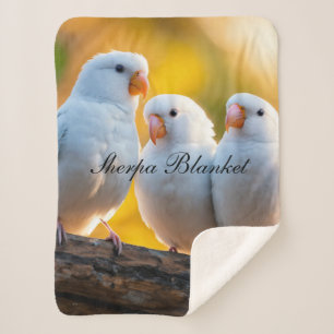 Couverture Sherpa Sherpa Blanket