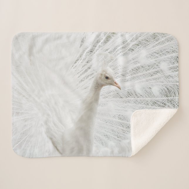 Couverture Sherpa Sherpa Blanket (Devant (Horizontal))