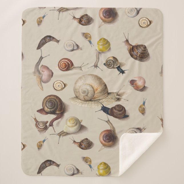 Couverture Sherpa Snail Slug Garden Pet Gastropod (Devant)