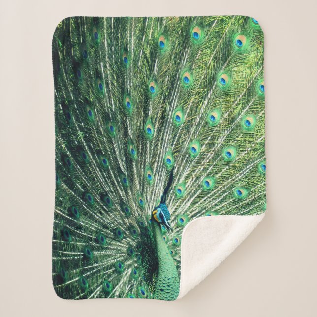 Couverture Sherpa Strut Peacock (Devant)