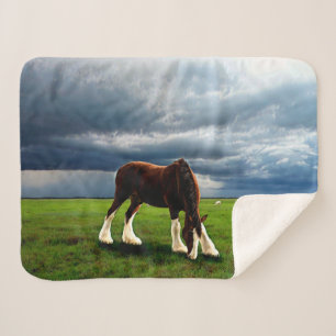 Couverture Sherpa Tempête de Clydesdale