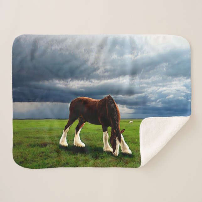 Couverture Sherpa Tempête de Clydesdale (Devant (Horizontal))