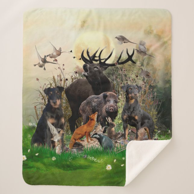 Couverture Sherpa Terrier de chasse allemand (Jagdterrier) (Devant)