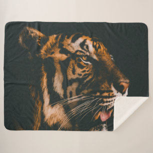 COUVERTURE SHERPA TIGER MAJESTIQUE