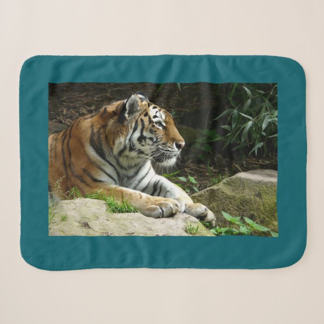 Couverture Sherpa Tigre (Devant (Horizontal))