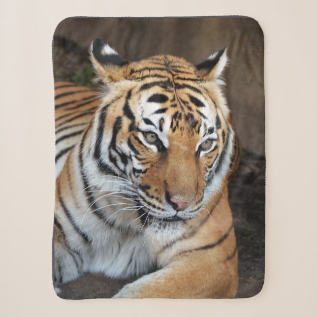 Couverture Sherpa Tigre (Devant)