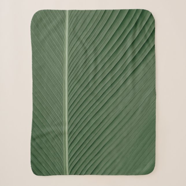 Couverture Sherpa Tissu rayé vert et blanc (Devant)