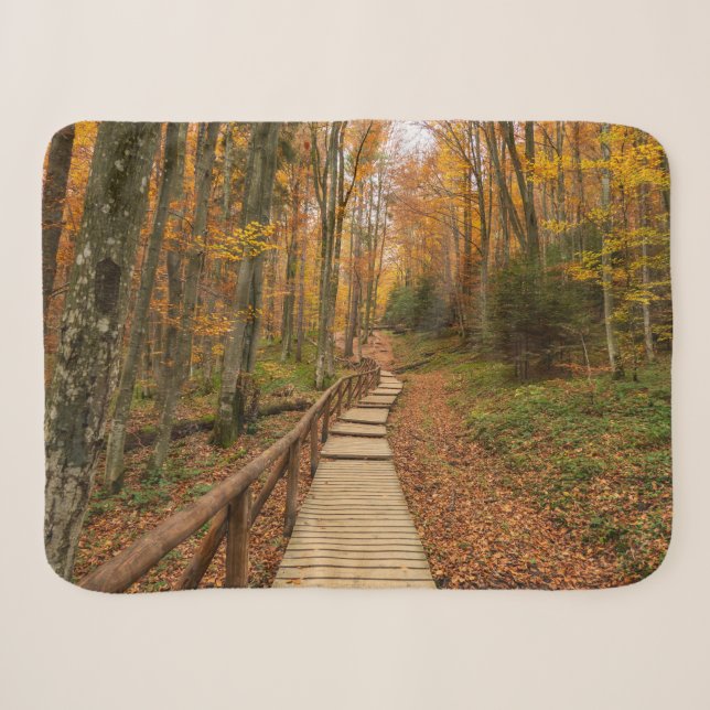 Couverture Sherpa Traverser la forêt d'automne. (Devant (Horizontal))