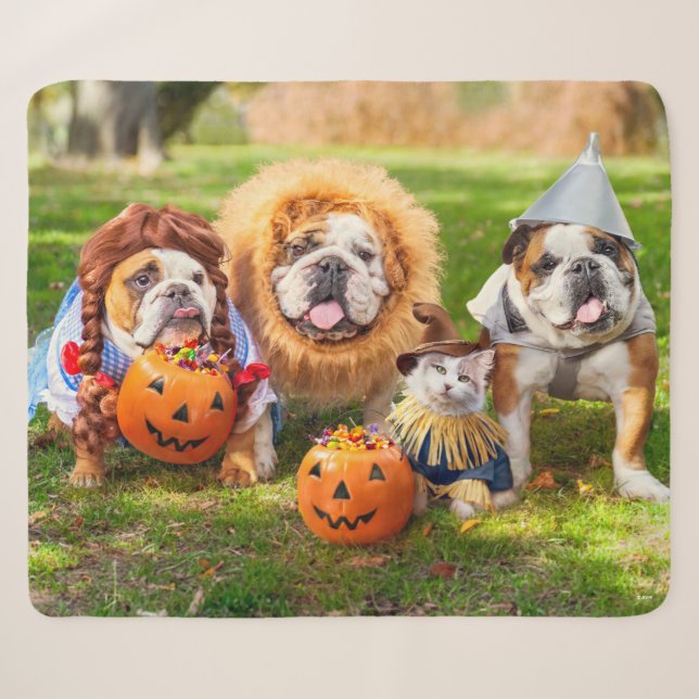 Couverture Sherpa Trois Bulldogs en costumes (Devant (Horizontal))