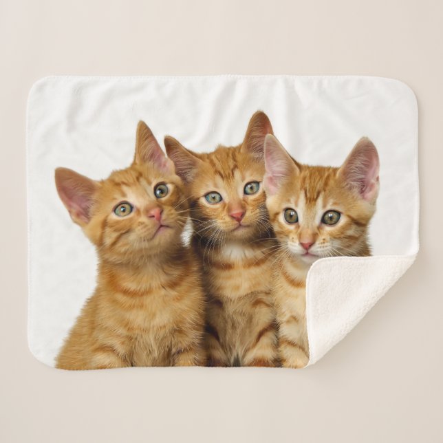 Couverture Sherpa Trois mignons Ginger Chat Kittens amis Photo de la (Devant (Horizontal))