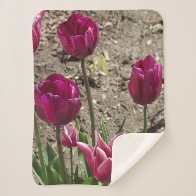 Couverture Sherpa Tulipes violettes sherpa blankert (Devant)