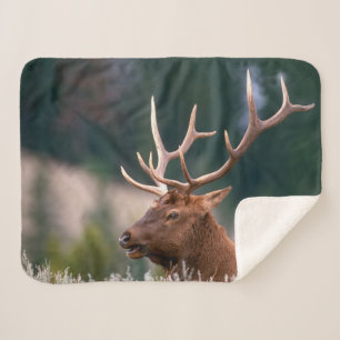 Couverture Sherpa Wapiti des montagnes Rocheuses Parc national de Ye