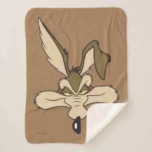 Couverture Sherpa WILE E. COYOTE™ Blessé à la tête