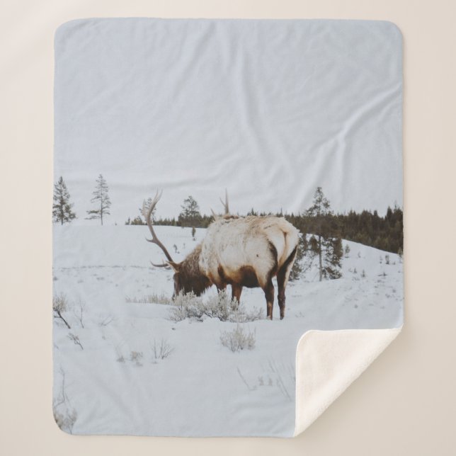 COUVERTURE SHERPA WINTER LANDSCAPE WITH A DEER (Devant)