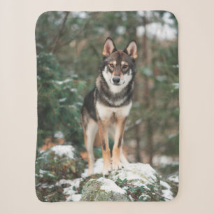 Couverture Sherpa Wolfdog Sherpa Blanket