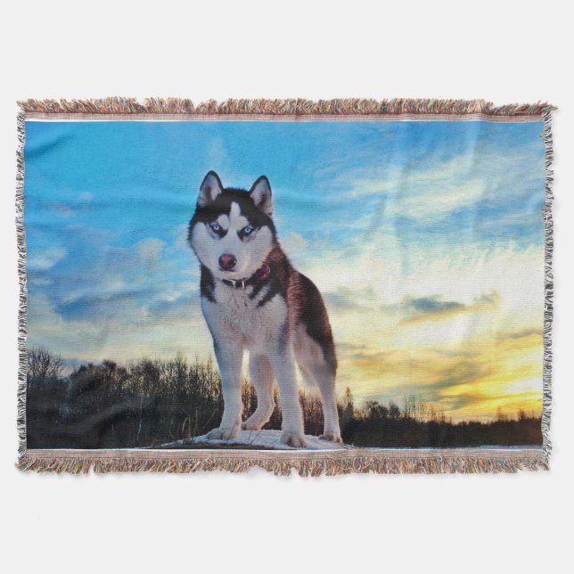 Couverture Sibérien Husky (Devant)