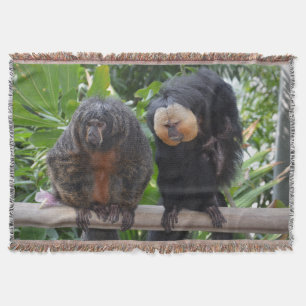 Couverture Singes Saki