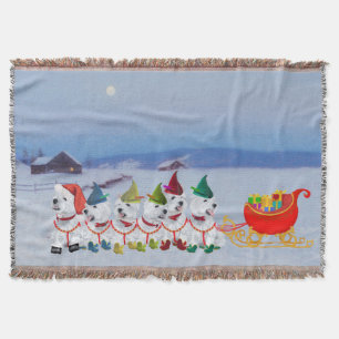 Couverture Sleigh
