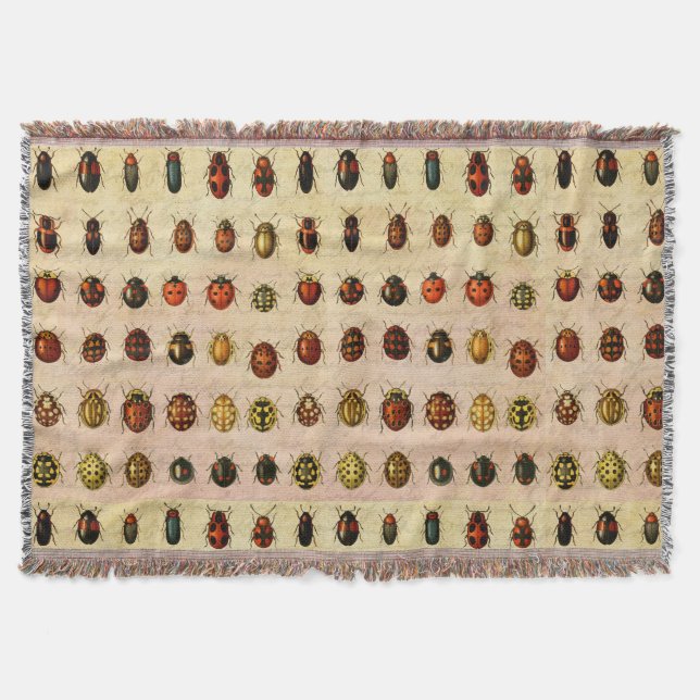 Couverture Spécimen de coccinelle vintage Motif Insecte antiq (Devant)
