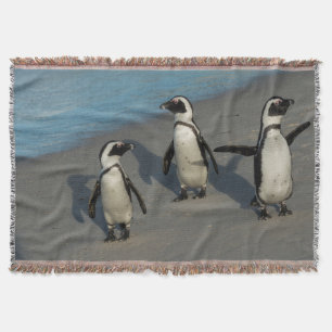 Couverture Spheniscus africain Demersus des pingouins  