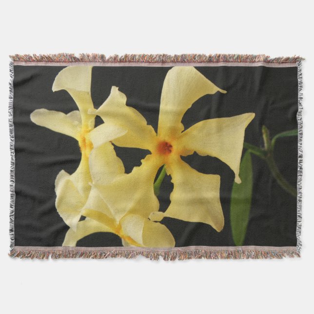 Couverture Star Jasmine Flower tbcna (Devant)