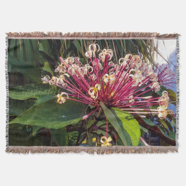 Couverture Starburst Clerodendrum Fleurs Jeter Blanket (Devant)