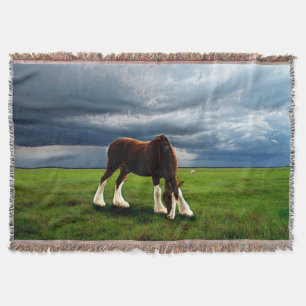 Couverture Tempête de Clydesdale
